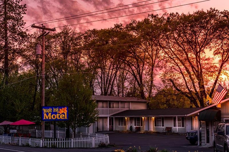 Maple Leaf Motel Shady Cove エクステリア 写真